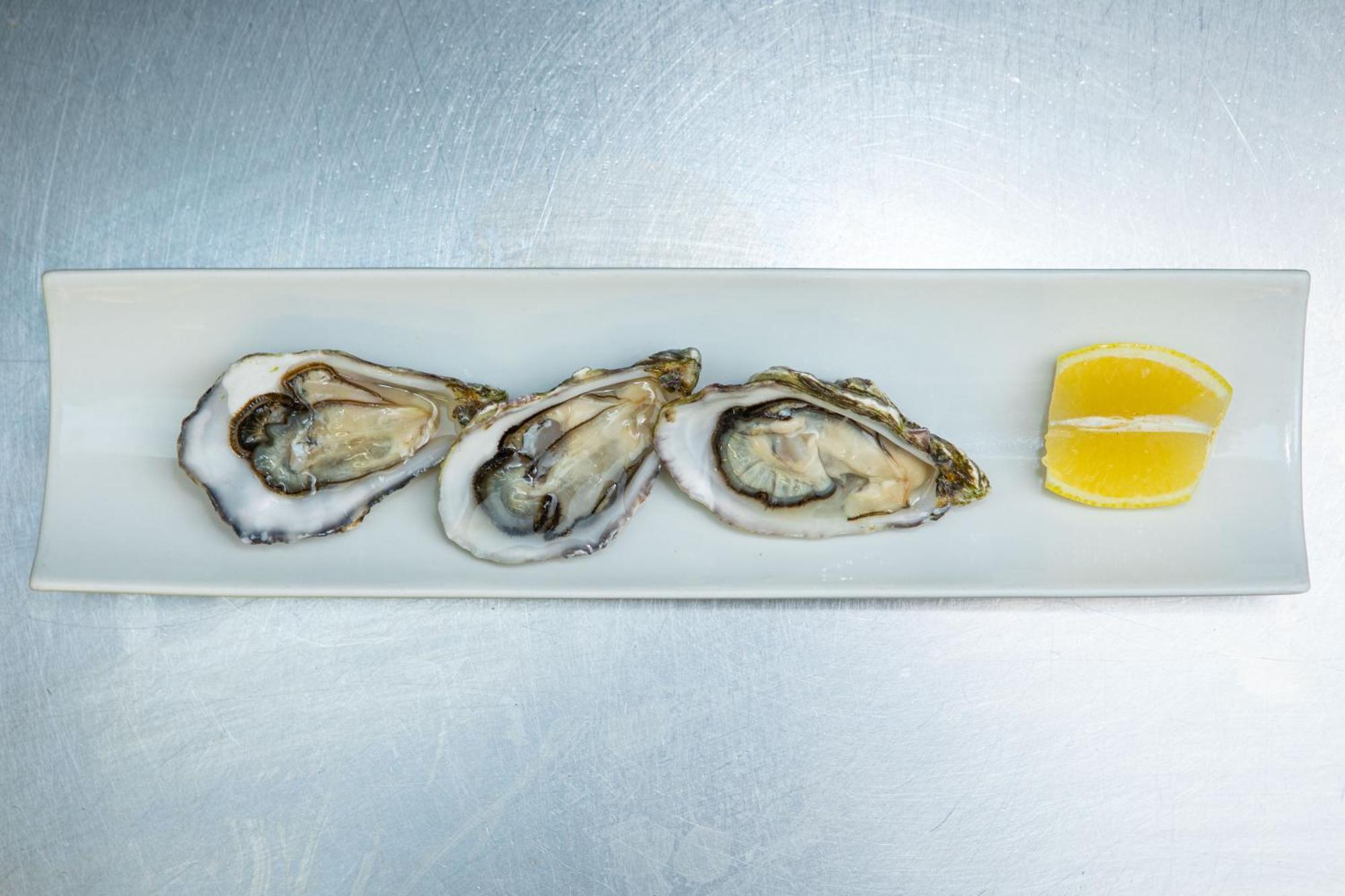 Ashes Seafood Restaurant Accommodation 딩글 외부 사진