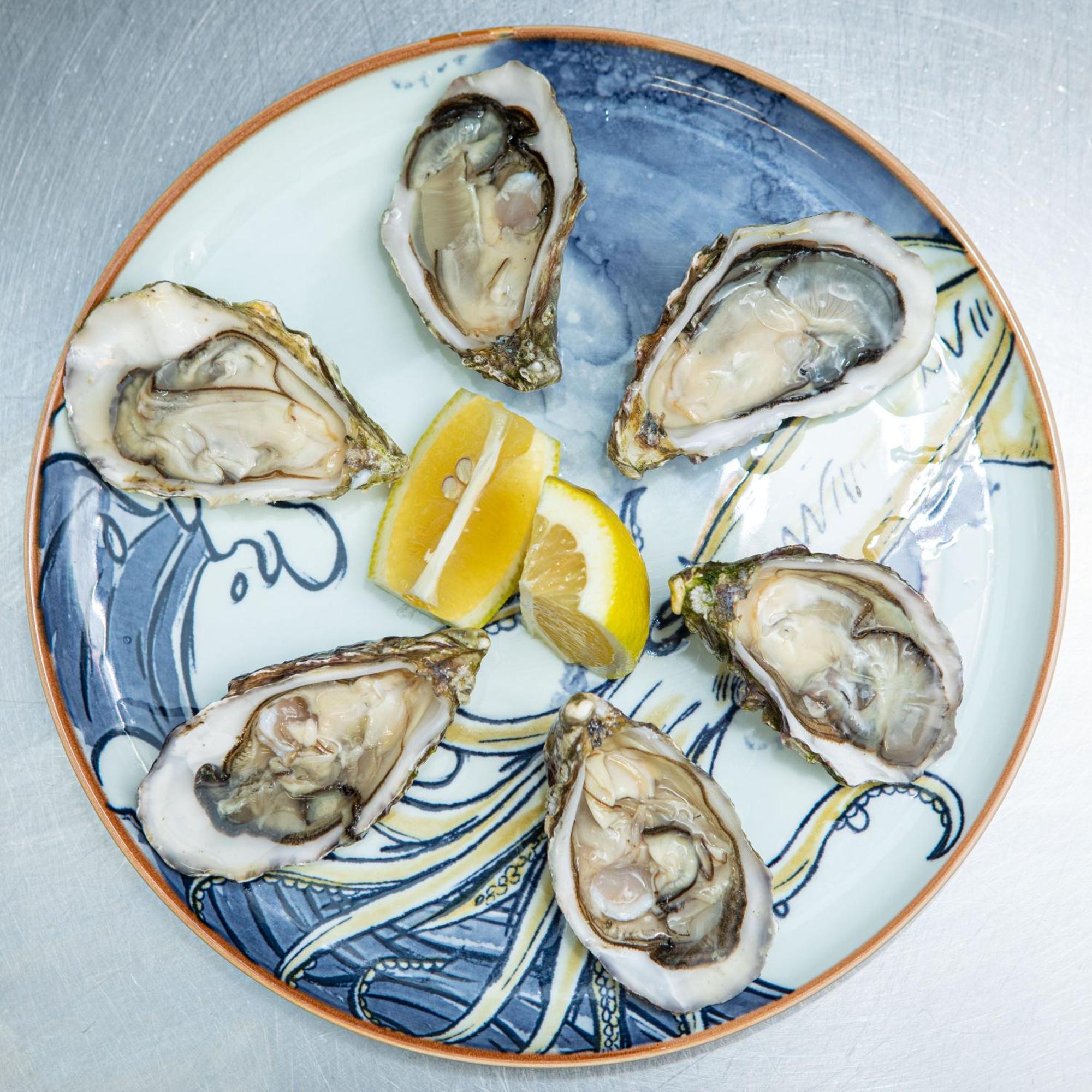 Ashes Seafood Restaurant Accommodation 딩글 외부 사진